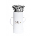  Mila-Roses-00071 Mila Classique Baby Blanc Classique - Metallic Silver