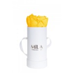  Mila-Roses-00073 Mila Classique Baby Blanc Classique - Yellow Sunshine