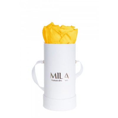 Produit Mila-Roses-00073 Mila Classique Baby Blanc Classique - Yellow Sunshine