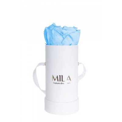 Produit Mila-Roses-00074 Mila Classique Baby Blanc Classique - Baby blue