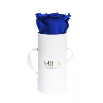 Produit Mila-Roses-00076 Mila Classique Baby Blanc Classique - Royal blue