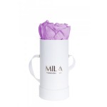  Mila-Roses-00077 Mila Classique Baby Blanc Classique - Lavender