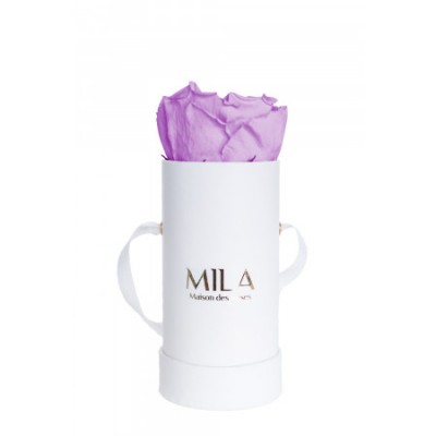 Produit Mila-Roses-00077 Mila Classique Baby Blanc Classique - Lavender