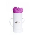  Mila-Roses-00078 Mila Classique Baby Blanc Classique - Mauve