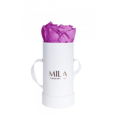 Produit Mila-Roses-00078 Mila Classique Baby Blanc Classique - Mauve