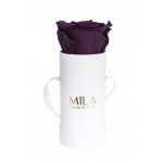  Mila-Roses-00080 Mila Classique Baby Blanc Classique - Velvet purple
