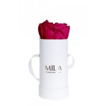  Mila-Roses-00081 Mila Classique Baby Blanc Classique - Fuchsia