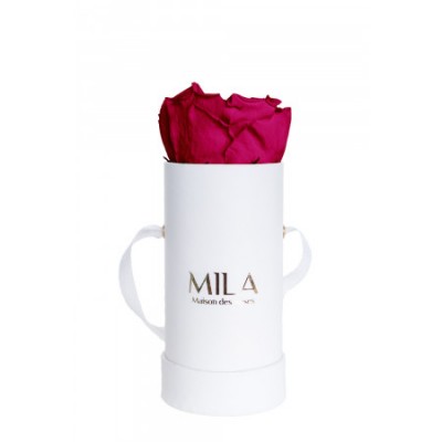 Produit Mila-Roses-00081 Mila Classique Baby Blanc Classique - Fuchsia