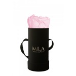  Mila-Roses-00085 Mila Classique Baby Noir Classique - Pink Blush