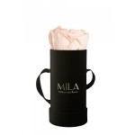  Mila-Roses-00086 Mila Classique Baby Noir Classique - Pure Peach