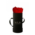  Mila-Roses-00087 Mila Classique Baby Noir Classique - Rouge Amour