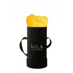  Mila-Roses-00094 Mila Classique Baby Noir Classique - Yellow Sunshine