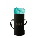  Mila-Roses-00096 Mila Classique Baby Noir Classique - Aquamarine