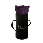  Mila-Roses-00101 Mila Classique Baby Noir Classique - Velvet purple