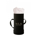  Mila-Roses-00104 Mila Classique Baby Noir Classique - Pink bottom