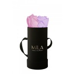  Mila-Roses-00105 Mila Classique Baby Noir Classique - Vintage rose