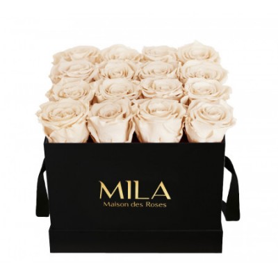 Produit Mila-Roses-00111 Mila Classique Medium Noir Classique - Champagne