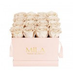  Mila-Roses-00132 Mila Classique Medium Rose Classique - Champagne
