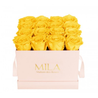 Produit Mila-Roses-00136 Mila Classique Medium Rose Classique - Yellow Sunshine