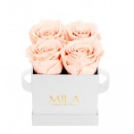  Mila-Roses-00149 Mila Classique Mini Blanc Classique - Pure Peach