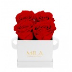  Mila-Roses-00150 Mila Classique Mini Blanc Classique - Rouge Amour