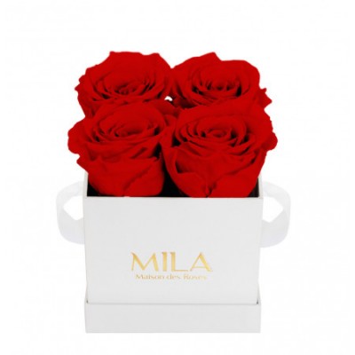 Produit Mila-Roses-00150 Mila Classique Mini Blanc Classique - Rouge Amour