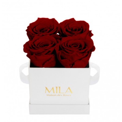 Produit Mila-Roses-00151 Mila Classique Mini Blanc Classique - Rubis Rouge