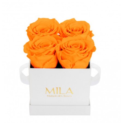 Produit Mila-Roses-00152 Mila Classique Mini Blanc Classique - Orange Bloom