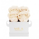 Mila-Roses-00153 Mila Classique Mini Blanc Classique - Champagne