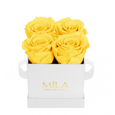 Produit Mila-Roses-00157 Mila Classique Mini Blanc Classique - Yellow Sunshine