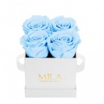  Mila-Roses-00158 Mila Classique Mini Blanc Classique - Baby blue