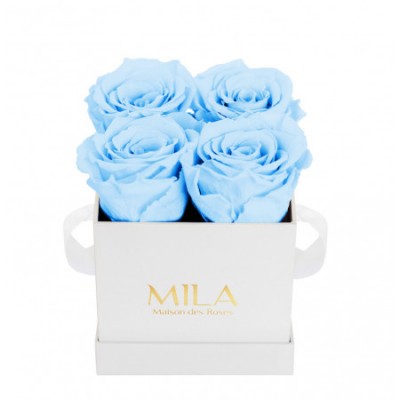 Produit Mila-Roses-00158 Mila Classique Mini Blanc Classique - Baby blue