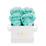  Mila-Roses-00159 Mila Classique Mini Blanc Classique - Aquamarine