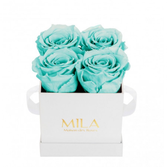 Mila Classique Mini Blanc Classique - Aquamarine