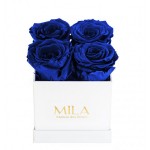  Mila-Roses-00160 Mila Classique Mini Blanc Classique - Royal blue