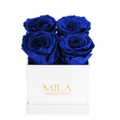 Produit Mila-Roses-00160 Mila Classique Mini Blanc Classique - Royal blue