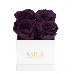  Mila-Roses-00164 Mila Classique Mini Blanc Classique - Velvet purple