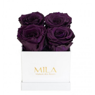 Produit Mila-Roses-00164 Mila Classique Mini Blanc Classique - Velvet purple