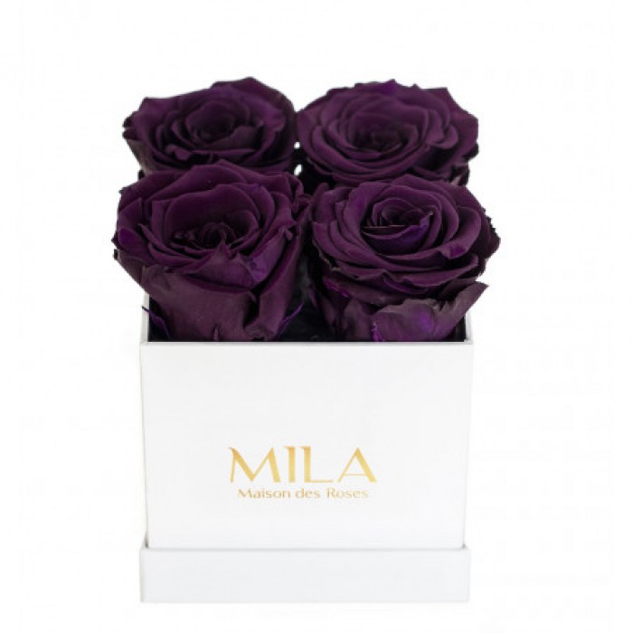 Mila Classique Mini Blanc Classique - Velvet purple