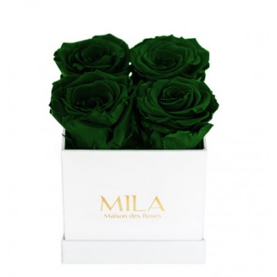 Produit Mila-Roses-00166 Mila Classique Mini Blanc Classique - Emeraude