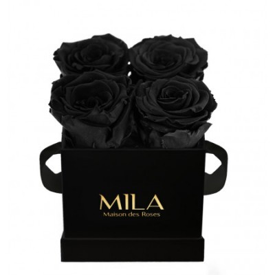 Produit Mila-Roses-00169 Mila Classique Mini Noir Classique - Black Velvet