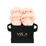  Mila-Roses-00173 Mila Classique Mini Noir Classique - Pure Peach