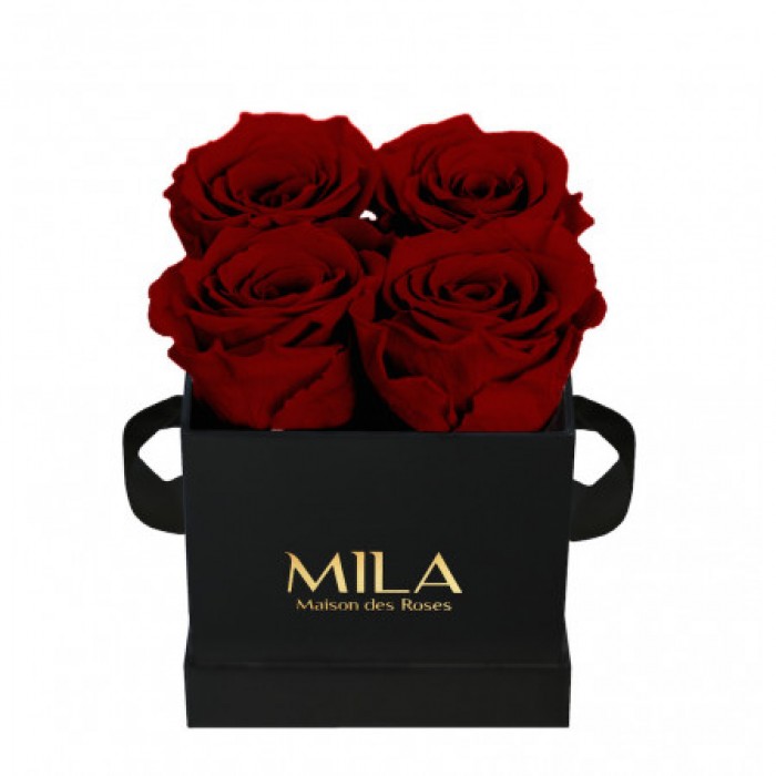 Mila Classique Mini Noir Classique - Rubis Rouge