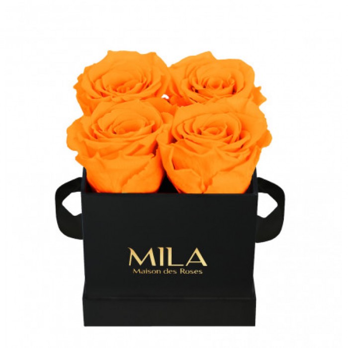 Mila Classique Mini Noir Classique - Orange Bloom