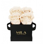  Mila-Roses-00177 Mila Classique Mini Noir Classique - Champagne
