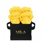  Mila-Roses-00181 Mila Classique Mini Noir Classique - Yellow Sunshine