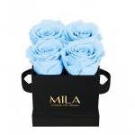  Mila-Roses-00182 Mila Classique Mini Noir Classique - Baby blue