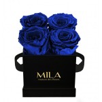  Mila-Roses-00184 Mila Classique Mini Noir Classique - Royal blue