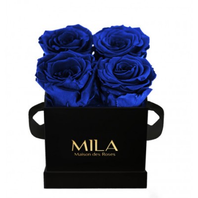 Produit Mila-Roses-00184 Mila Classique Mini Noir Classique - Royal blue