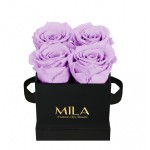  Mila-Roses-00185 Mila Classique Mini Noir Classique - Lavender